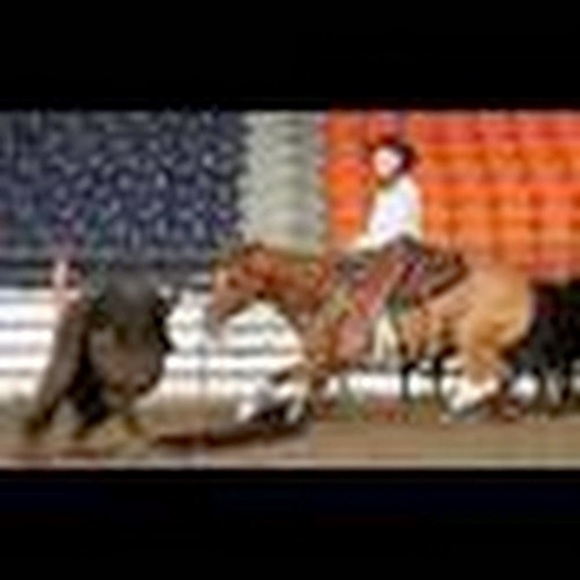 Meet your Posher, Zoe - Picture 1 of 1